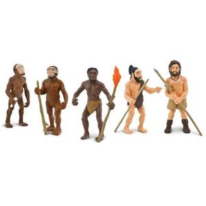 Set Evolutia Omului | Safari imagine