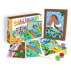 Set creativ Sablimage - Pasari | Sentosphere imagine