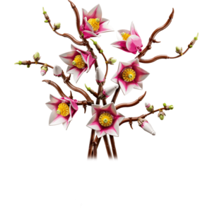 LEGO Botanicals - Magnolia Branches (11510) | LEGO imagine