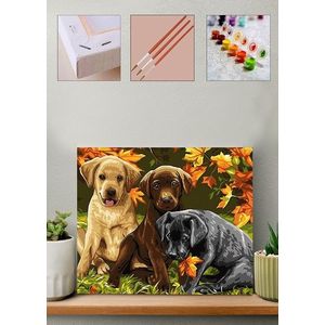 Pictura pe numere, Wallxpert, Artsylrbaskı15, Multicolor imagine