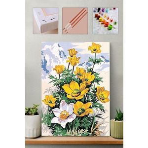 Pictura pe numere, Wallxpert, Artsylrbaskıb6, Multicolor imagine