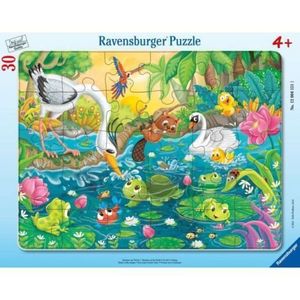 Ravensburger - Puzzle tip rama vara la iaz 30 piese imagine
