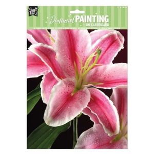 Set creativ pictura cu diamante, Diamond Painting imagine