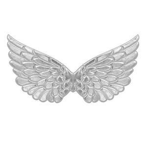 Aripi argintii adulti imagine