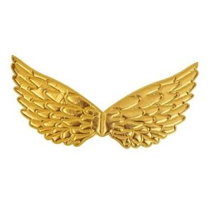 Aripi aurii copii imagine