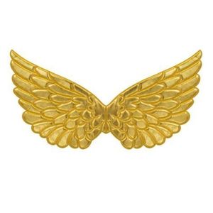 Aripi aurii adulti imagine