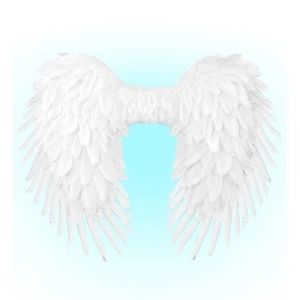 Aripi inger pene albe imagine