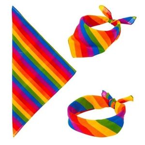 Bandana curcubeu imagine