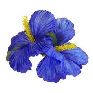 Clama hawaii albastra imagine