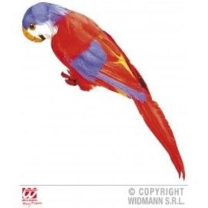 Papagal Rosu imagine