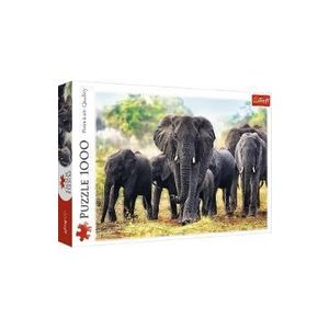 CUTIE JUCARII 'ELEFANT' imagine