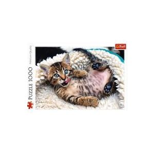 Puzzle 1000. Pisicuta vesela imagine