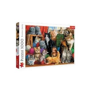 Puzzle 1000. Intalnirea pisicutelor imagine