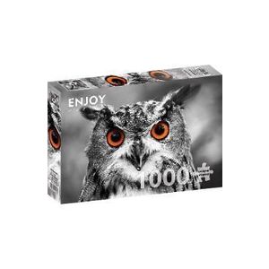 Puzzle 1000: Curious Owl imagine