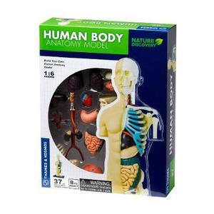 Set educativ STEM: Anatomia corpului imagine