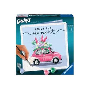 Pictura pe numere. Masina cu flori imagine