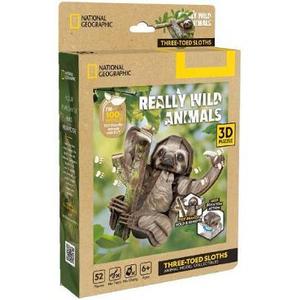 Puzzle 3D. Lenes imagine