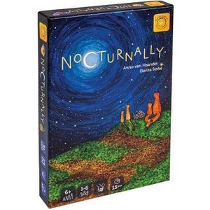 Joc de memorie: Nocturnally imagine