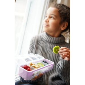 Cutie snack cu 4 compartimente Melii berry imagine