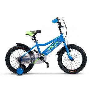 Bicicleta pentru copii Rich R1605A, roti 16 inch, 4-6 ani, AlbastruVerde imagine