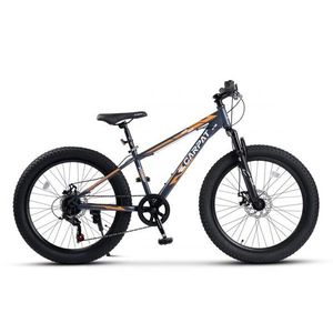 Bicicleta pentru copii Ecarpat Ride S24109C Gri, 24 inch, echipare Shimano, anvelope late, furca cu suspensie, frane disc, 7 viteze imagine