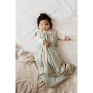 Sac de dormit din bumbac 6-24 luni Gri Sleepee 2, 5 Tog imagine