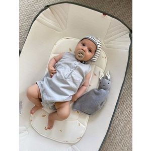 Patut pentru transport Voksi Carry Me Gri imagine