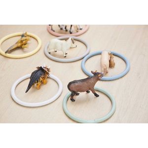 Set 6 inele de activitati in 6 culori nordice imagine