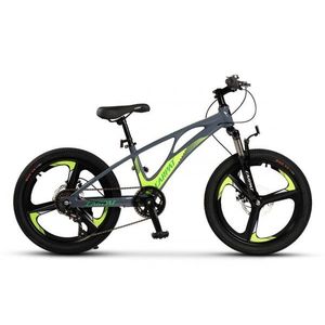 Bicicleta pentru copii Mountain Bike Carpat GriVerde 20 inch, schimbator spate Gilong 7 viteze, schimbator fata rotativ, frana disc fataspate, cadru aluminiu, furca supensie, roti 3 spite magneziu imagine