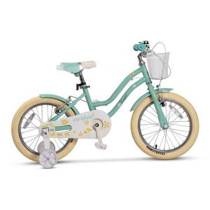 Bicicleta pentru copii 4-6 ani Carpat C16178A Turcoaz 16 inch imagine