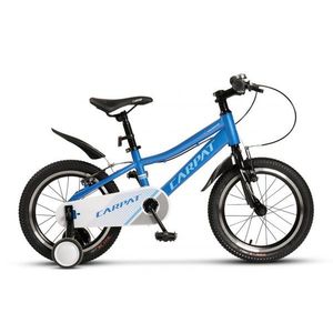 Bicicleta pentru copii 4-6 ani Carpat C16261A Albastru 16 inch imagine