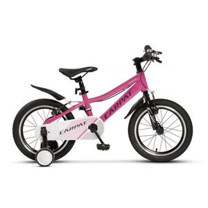 Bicicleta pentru copii 4-6 ani Carpat C16261A Fucsia 16 inch imagine