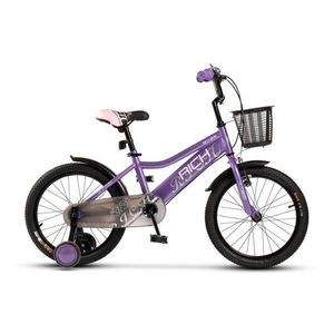 Bicicleta pentru copii 5-7 ani Rich R1805A MovRoz 18 inch imagine