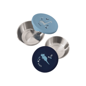 Set 2 recipiente pentru gustari Fresk Dino imagine