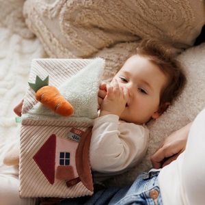 Carte senzoriala pentru copii Babyono Iepurasul Karo imagine