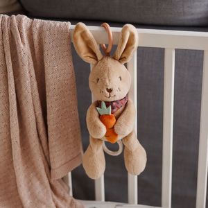 Jucarie muzicala Babyono Iepurasul Karo imagine