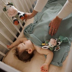 Jucarie muzicala Babyono Vacuta Bingo imagine