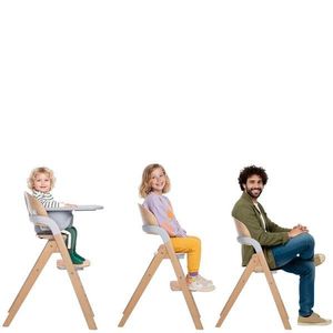 Scaun de masa multifunctional pliabil Jane Forest Mist, de la 6 luni la adult, din lemn fag, greutate maxima 100 kg imagine