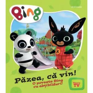 O poveste Bing cu abtibilturi, Pazea, ca vin imagine