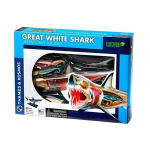 Set educativ Anatomia animalelor: Rechinul Alb imagine