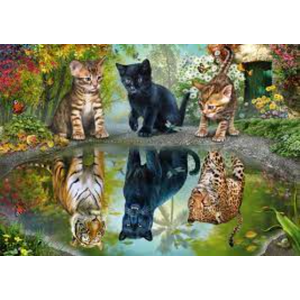 Puzzle 1000 piese - Dream Big | Schmidt imagine