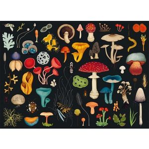 Puzzle - Fungarium, 1000 de piese | Big Picture Press imagine