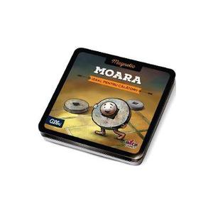 Joc magnetic: Moara imagine
