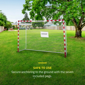 Poarta de fotbal Dunlop 300x200x110 cm imagine