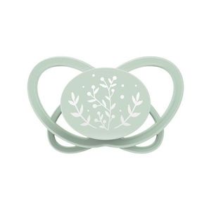 Set 2 suzete Nip My Butterfly cu tetina ortodontica din silicon, forma simetrica, din materiale naturale regenerabile, fara BPA, cutie de transport si sterilizare, verde, 5-18 luni imagine