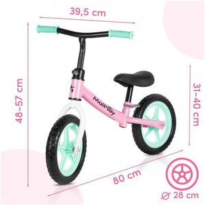 Bicicleta de echilibru fara pedale pentru copii, Malplay Fliki TurquoisePink 12 inch, roti spuma EVA, cu saua si ghidonul reglabile imagine
