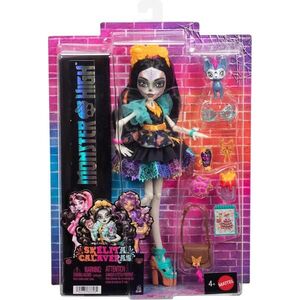 Imagine Papusa cu animal de companie, Monster High, Skelita Calaveras, JHK34