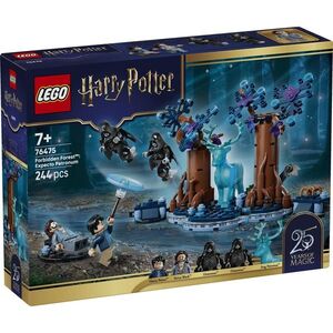 Imagine LEGO® Harry Potter - Padurea interzisa: Expecto Patronum (76475)