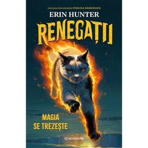 Imagine Magia se trezeste, Renegatii, Volumul 1