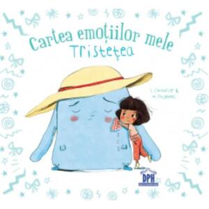 Imagine Cartea emotiilor mele, Tristetea